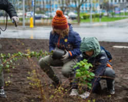 Dzieci sadzą drzewa i krzewy na ul. Kondratowicza
