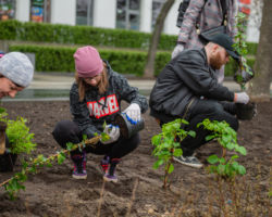 Mieszkańcy sadzą rośliny przy ul. Kondratowicza