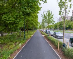 Świeżo wyremontowana ścieżka rowerowa na zielonej ulicy Kondratowicza