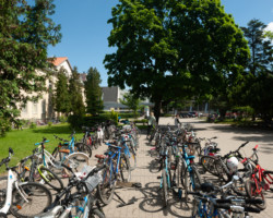 Pełen parking rowerowy.