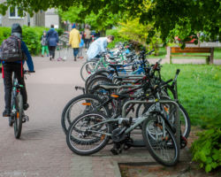 Uczeń jadący rowerem na zajęcia i kilkanaście zaparkowanych rowerów przy stojakach typu odwrócone U