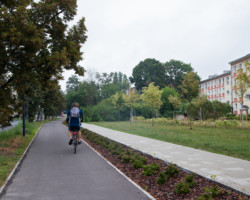 Rowerzysta jadący ścieżką rowerową.