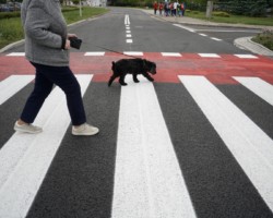 Nowa nawierzchnia ulicy Żołnierzy Wyklętych na Bemowie.