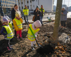 Dzieci ze śródmiejskich przedszkoli i szkół podstawowych z łopatą w ręku przy nowo posadzonych drzewach na placu Trzech Krzyży