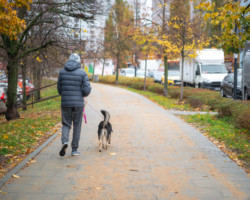 Remontowany chodnik przy ul. Umińskiego.